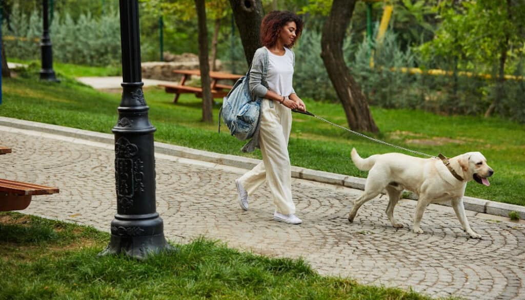 file your dogs nail by walking on concrete to file down without cutting