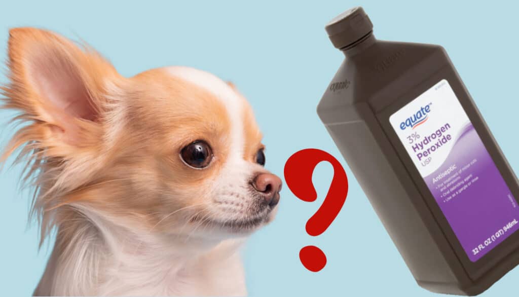 is hydrogen peroxide safe for dogs
