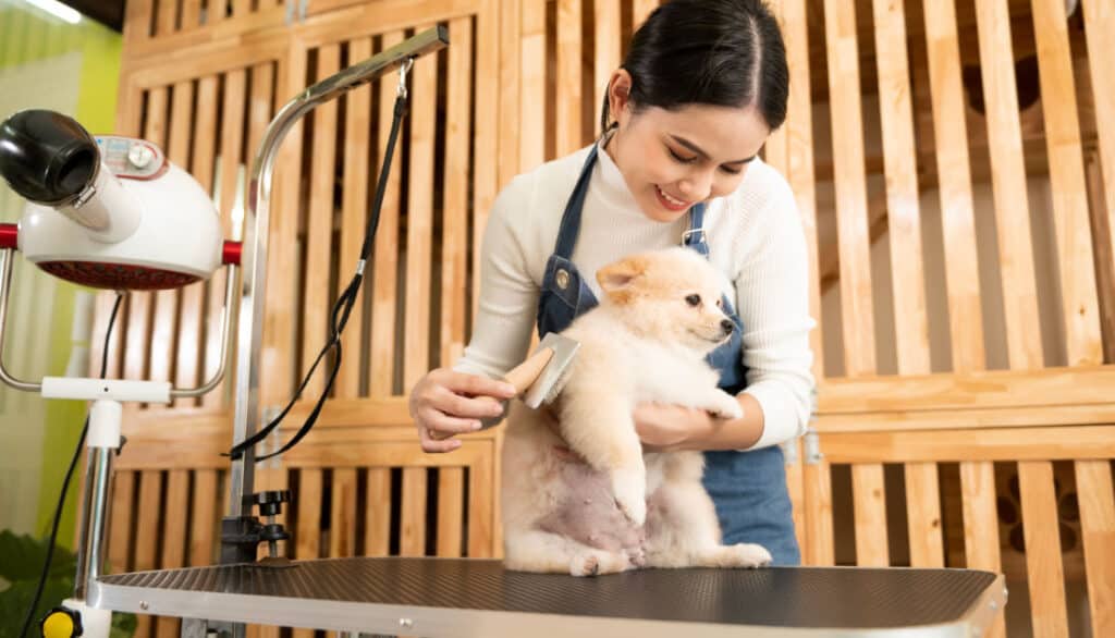 when do you need a groomer or vet to clip nails on a dog
