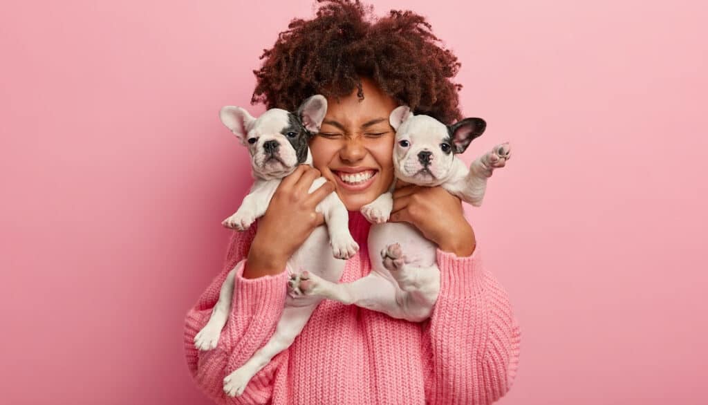 woman holding two french bulldog puppies