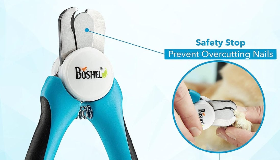 Nail Clipping Safety Precautions For Anxious Dogs photo