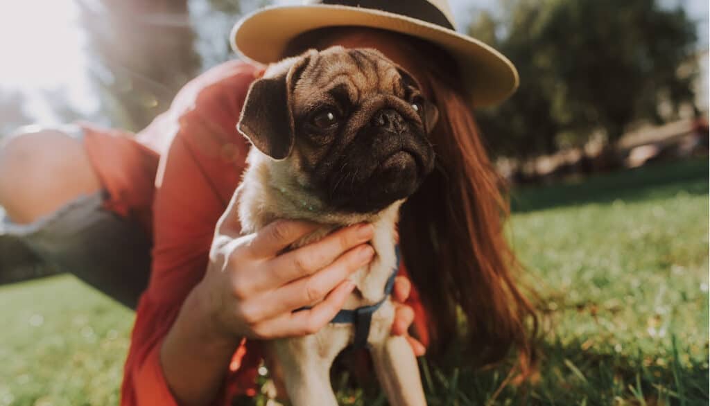 woman with pug