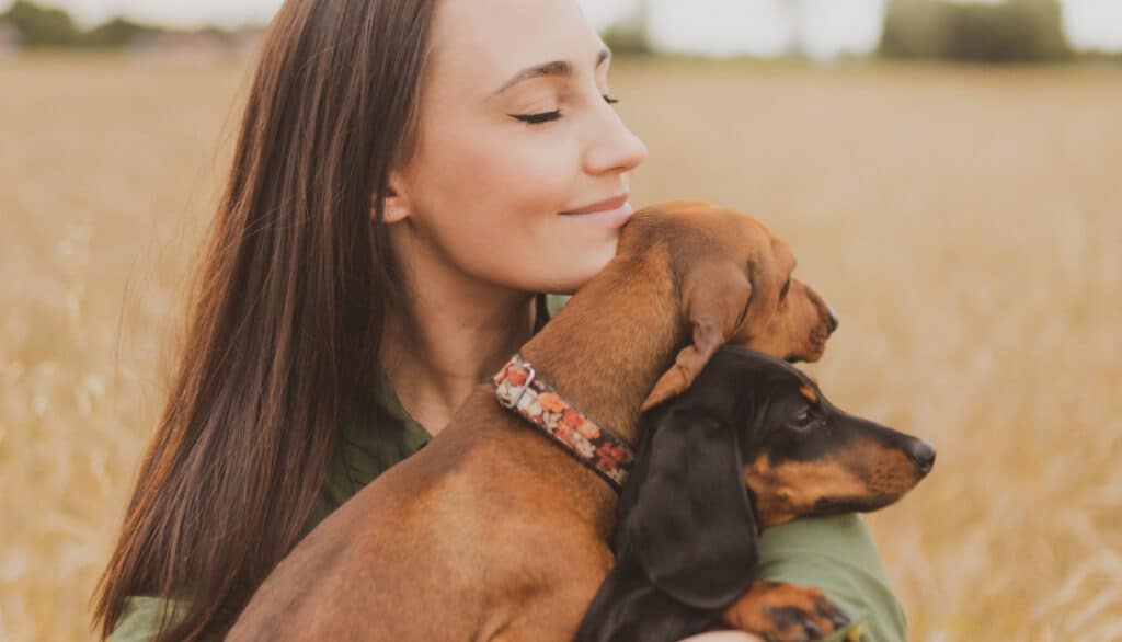 woman hugging dachshunds