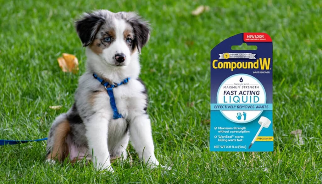 puppy and compound w wart remover