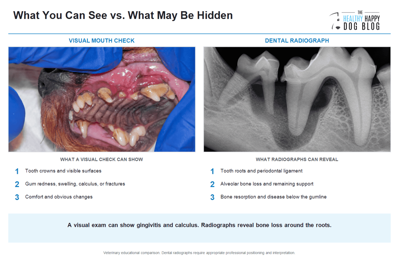 Veterinary comparison of a dog mouth with severe gingivitis and calculus beside a dental radiograph showing bone loss around tooth roots