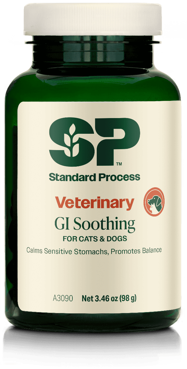 Standard Process Veterinary GI Soothing supplement bottle for dogs and cats